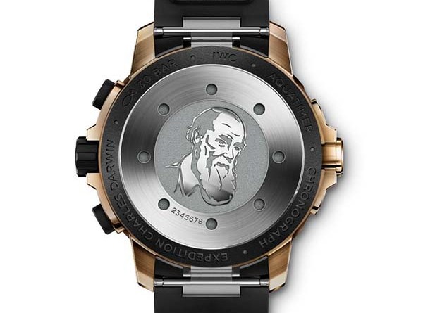 IWC AQUATIMER CHRONOGRAPH EDITION «EXPEDITION CHARLES DARWIN» (back) Арт. IW379503